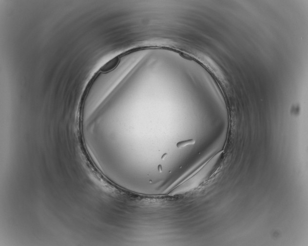 X0000096171044200802081407