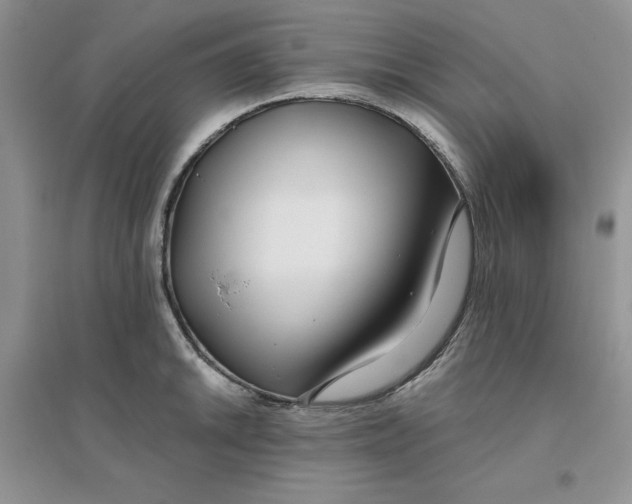 X0000096171046200802081407