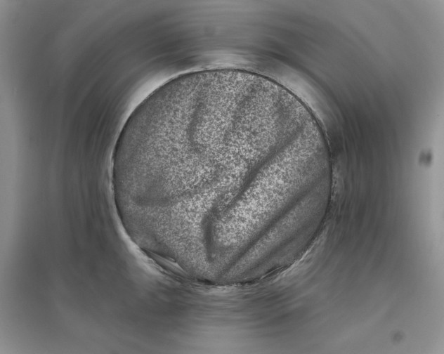 X0000096171047200802081407