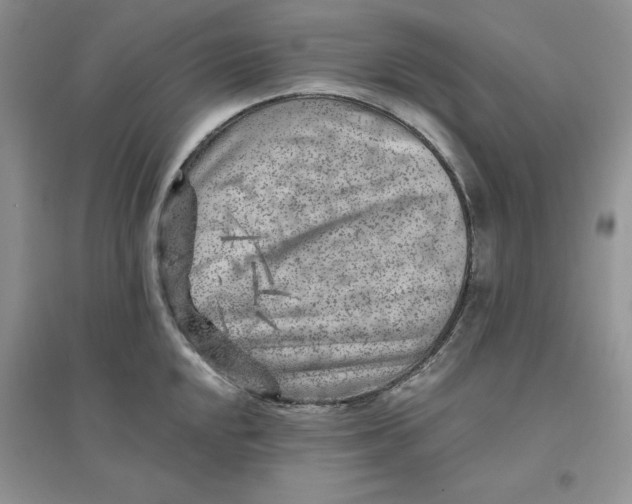 X0000096171048200802081407