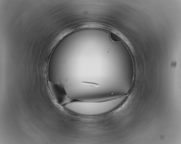 X0000096171049200802081407