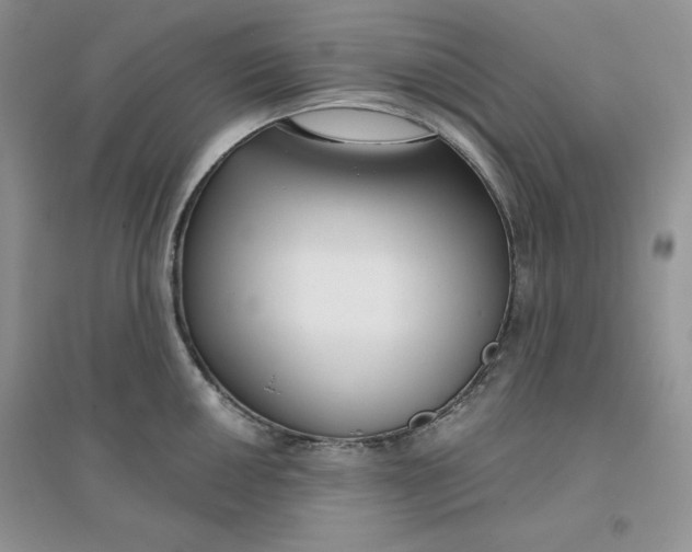 X0000096171050200802081407