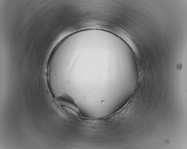 X0000096171051200802081407