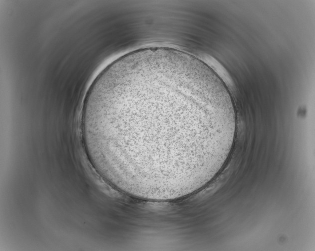 X0000096171052200802081407