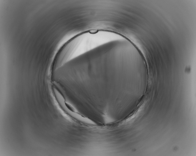 X0000096171053200802081407