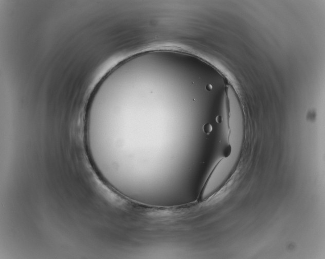 X0000096171054200802081407