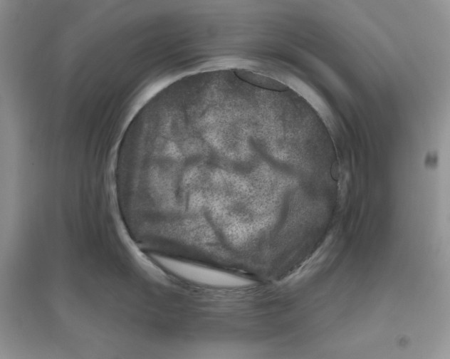 X0000096171055200802081407