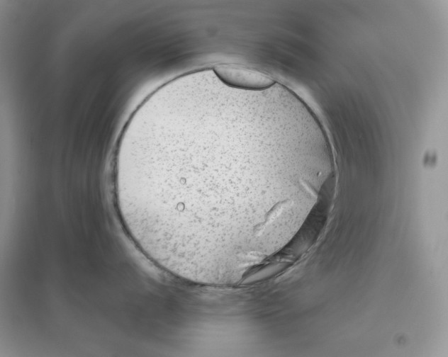 X0000096171056200802081407