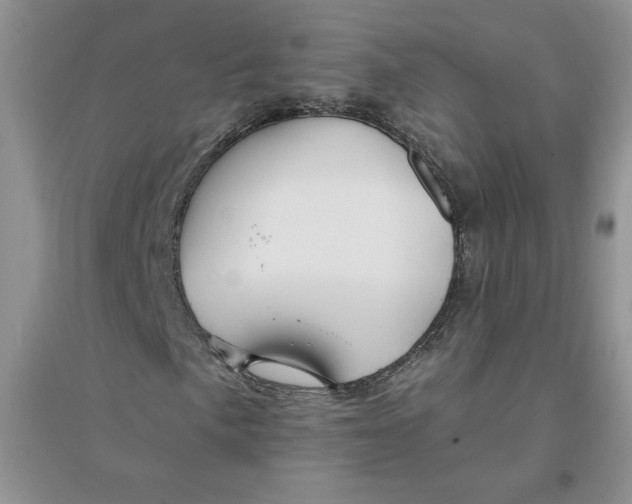 X0000096171057200802081406