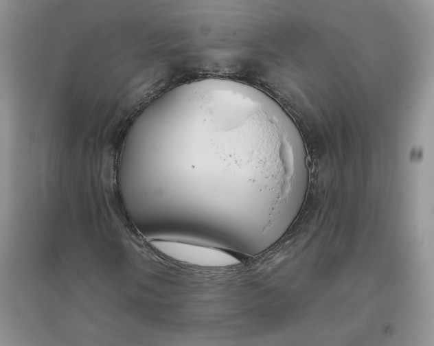 X0000096171058200802081406