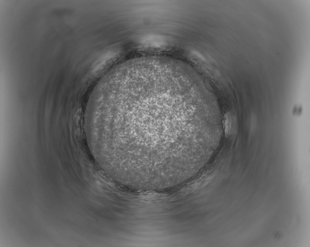 X0000096171059200802081406