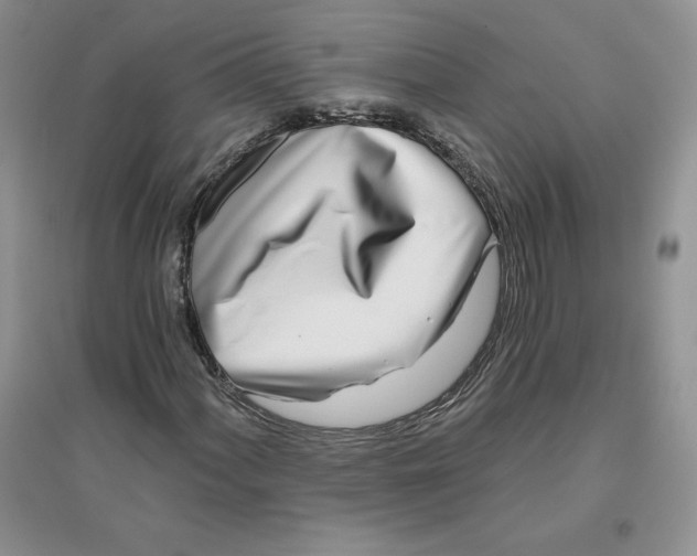 X0000096171060200802081406