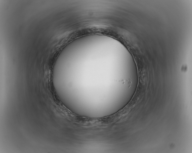 X0000096171061200802081406