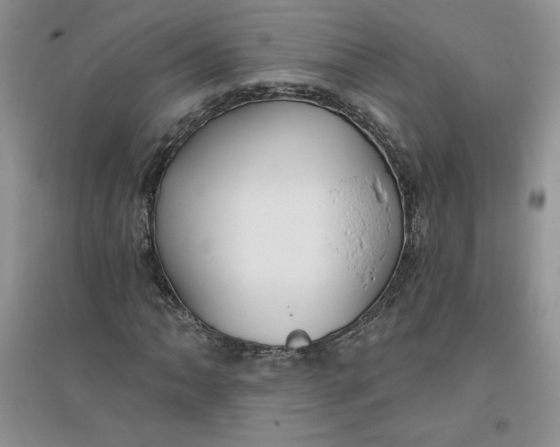 X0000096171062200802081406