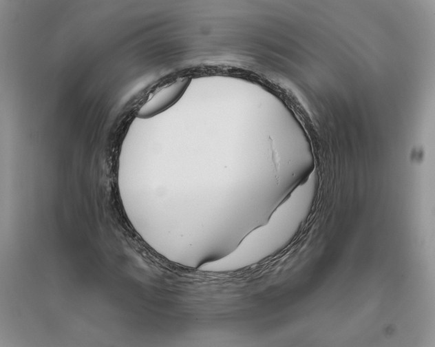 X0000096171064200802081406