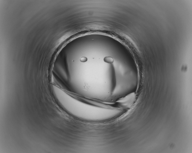 X0000096171065200802081406