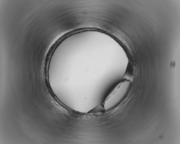 X0000096171068200802081406