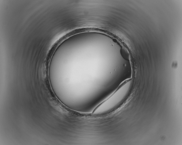 X0000096171069200802081406