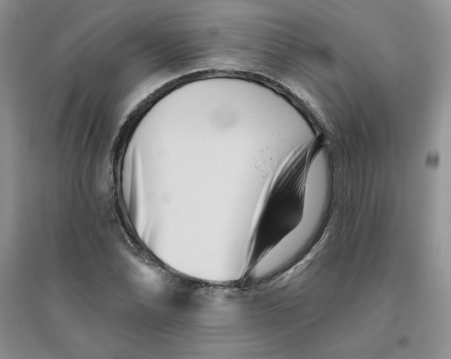 X0000096171070200802081406