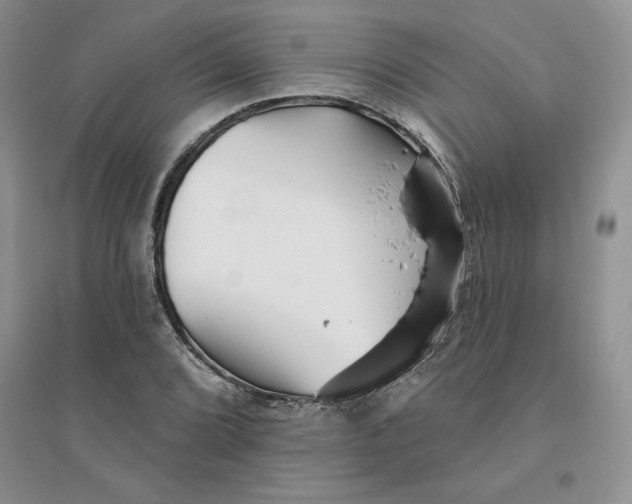 X0000096171072200802081406