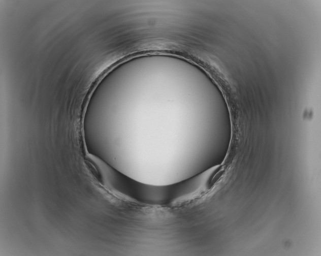 X0000096171073200802081406