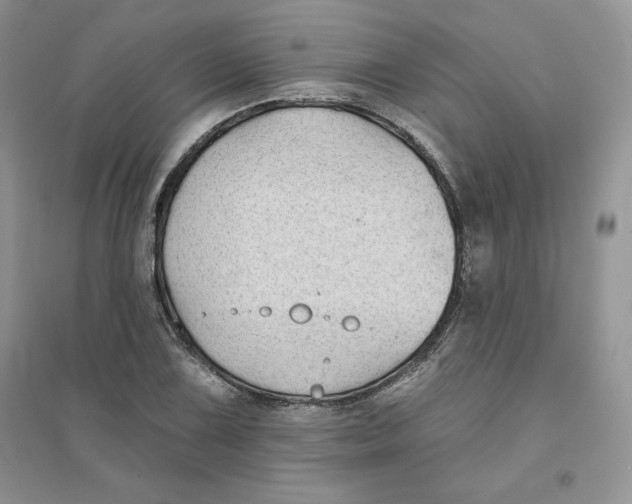 X0000096171075200802081406