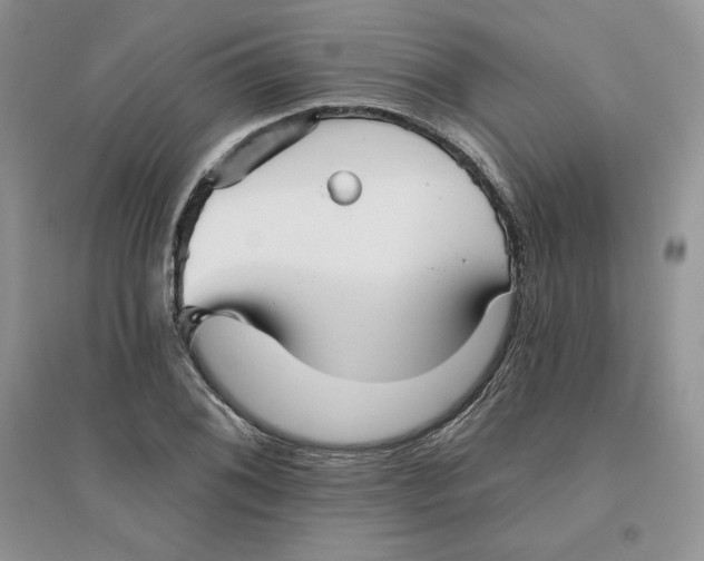 X0000096171076200802081406