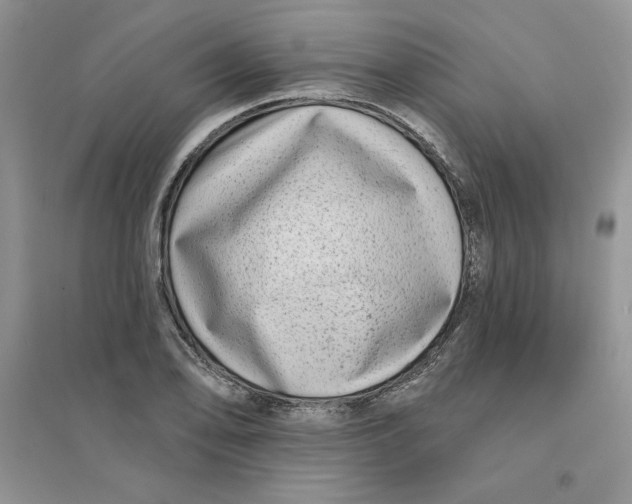 X0000096171078200802081406