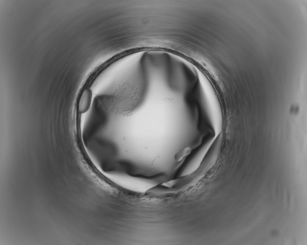 X0000096171080200802081406