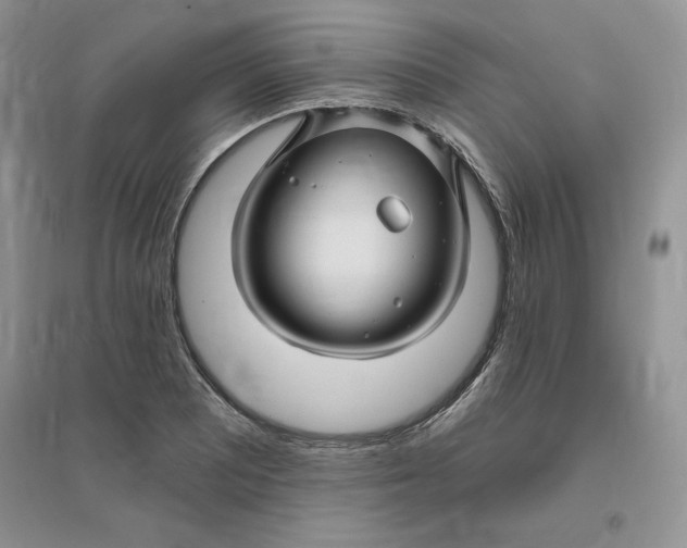 X0000096171081200802081406