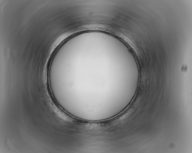 X0000096171082200802081406