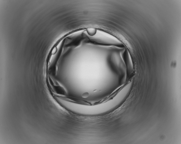 X0000096171084200802081406