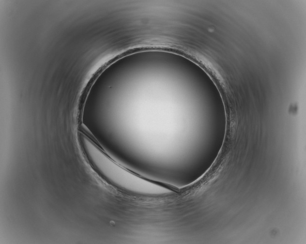 X0000096171085200802081406