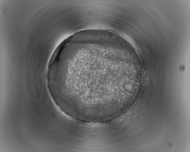 X0000096171087200802081406