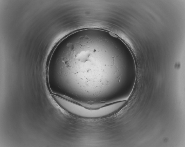 X0000096171088200802081406