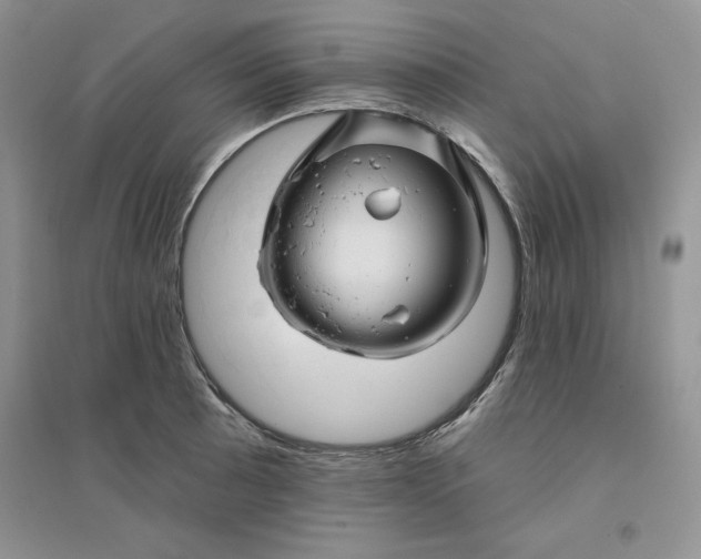 X0000096171089200802081406