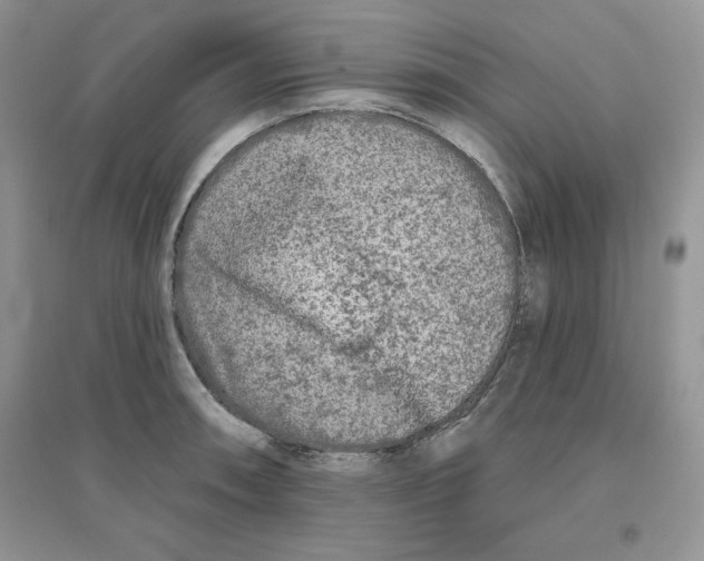 X0000096171090200802081406