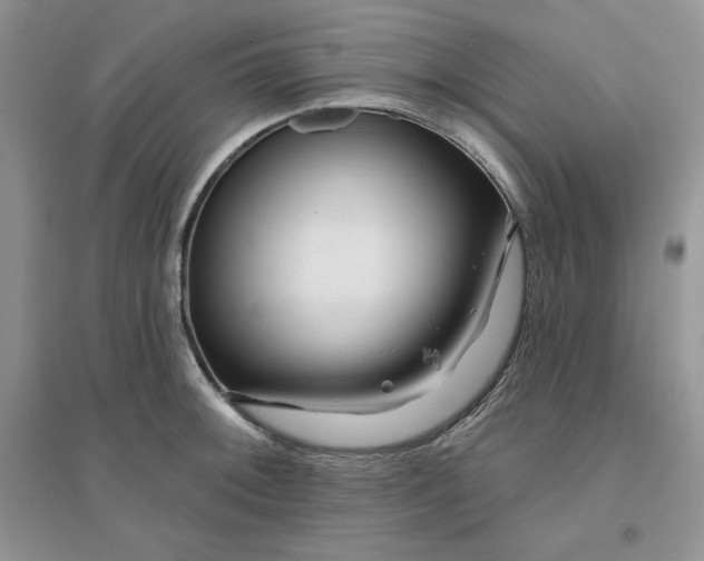 X0000096171092200802081406