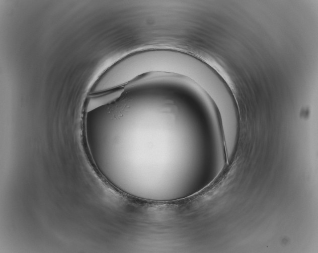 X0000096171093200802081406