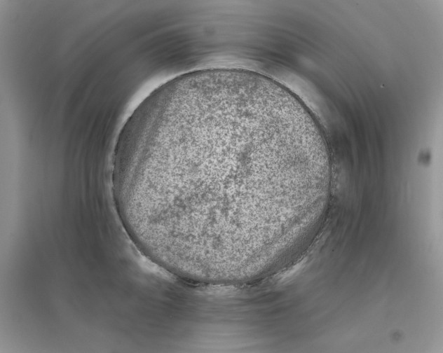 X0000096171094200802081406