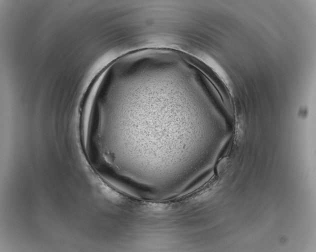 X0000096171096200802081406