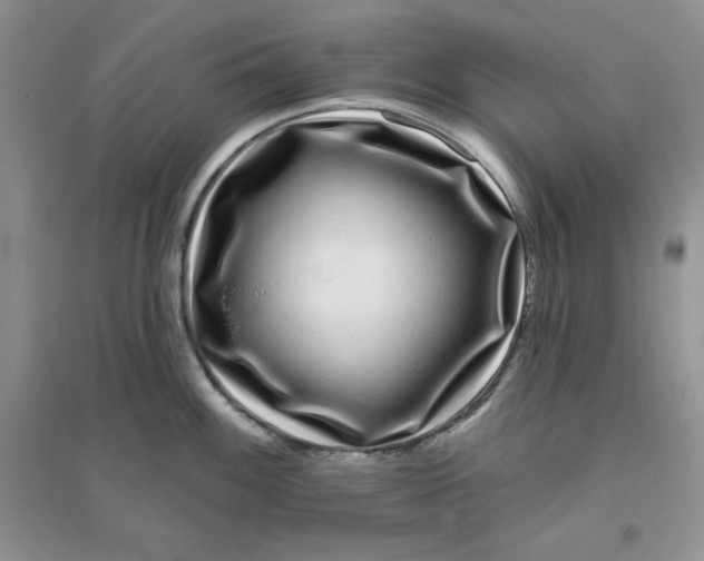 X0000096171100200802081405