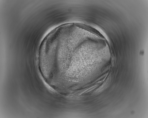 X0000096171101200802081405