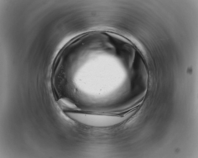 X0000096171102200802081405