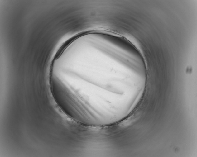 X0000096171104200802081405