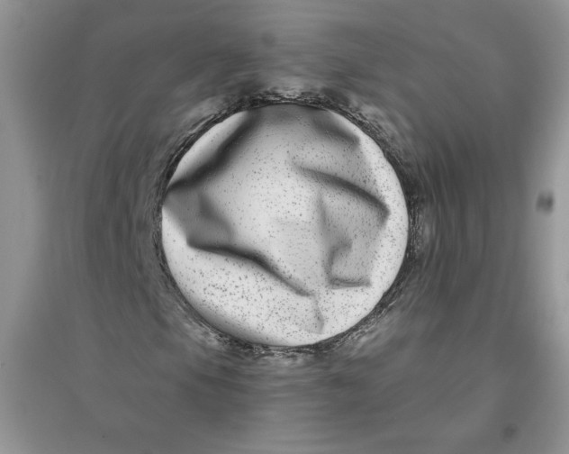 X0000096171105200802081405