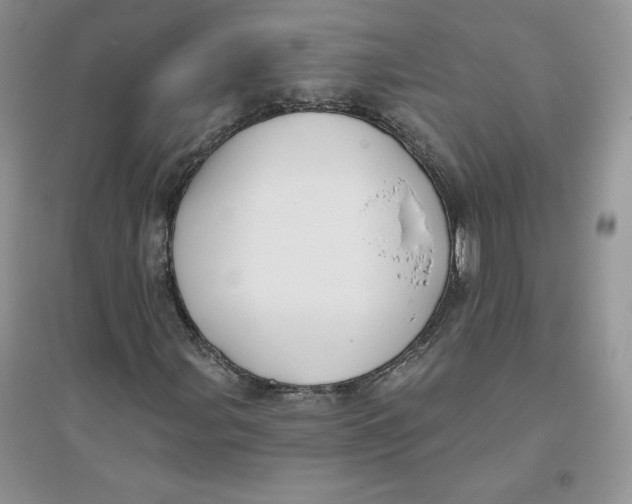 X0000096171107200802081405