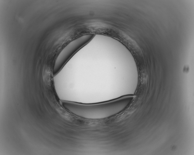 X0000096171108200802081405