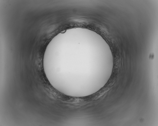 X0000096171109200802081405