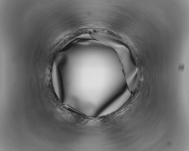 X0000096171110200802081405